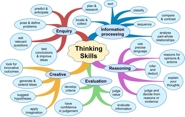 Critical thinking skills and the nursing process